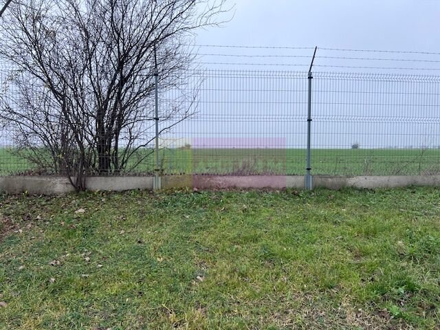 Teren Domnesti- Depozit Altex, Emag.